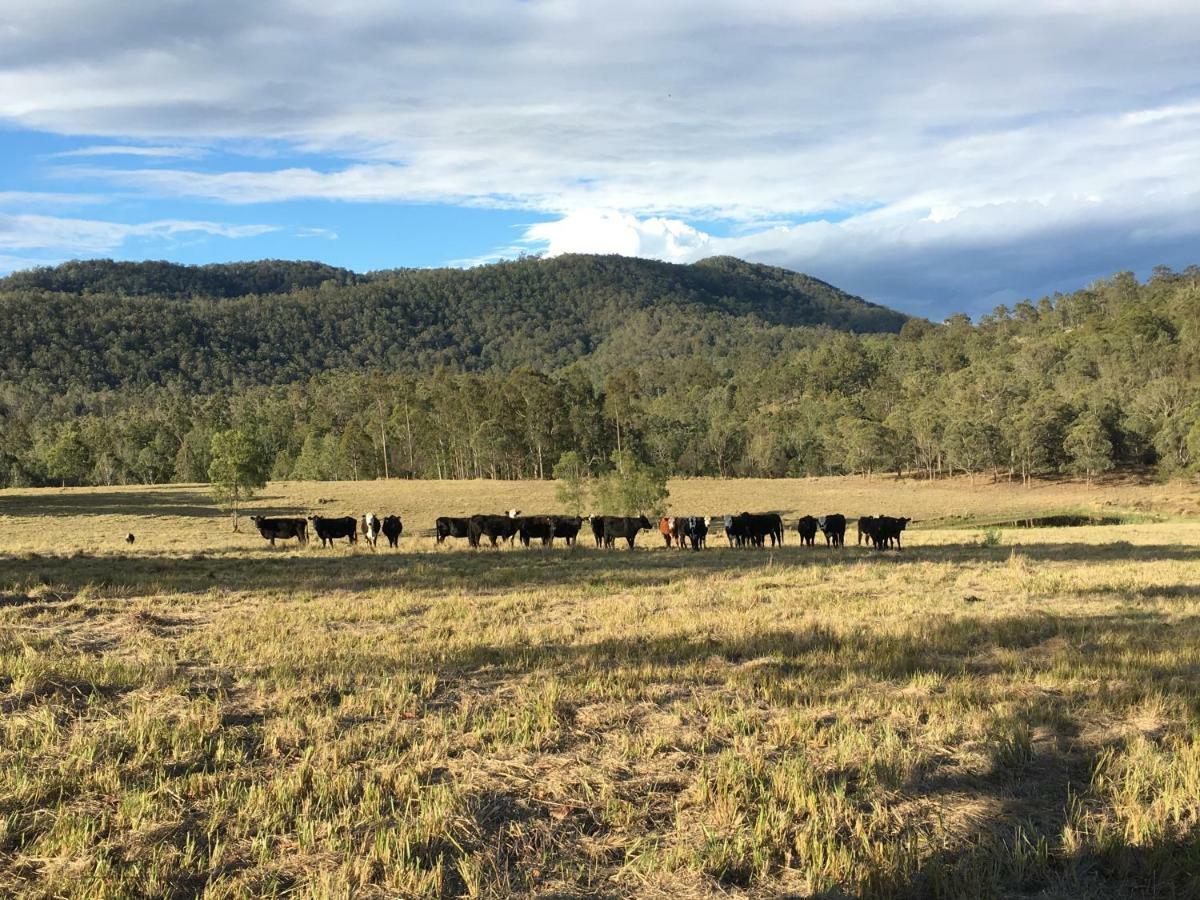 Rural Ambience With Netflix Leilighet Mount George Eksteriør bilde