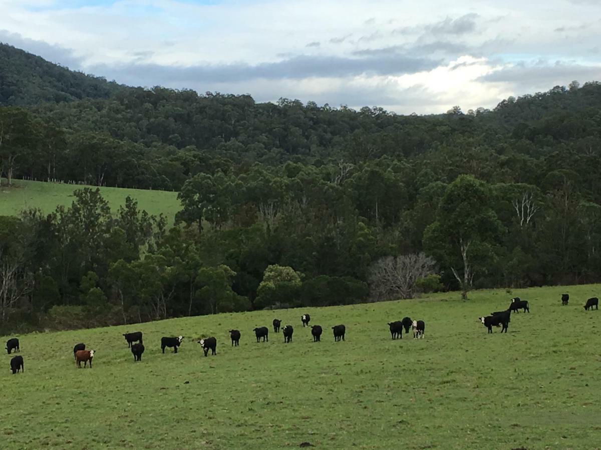 Rural Ambience With Netflix Leilighet Mount George Eksteriør bilde